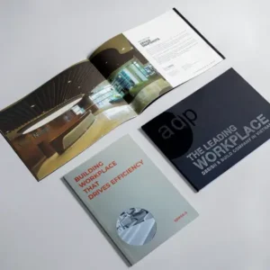 catalogue-keo-gay-work-place